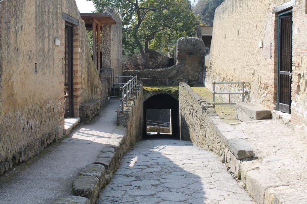 Cardo V, Herculaneum. March 2014.
Looking south along roadway, with House of Telephus Relief (Ins.Or.I.2) on left, and IV.21, Casa dei Cervi/House of the Stags, on right.
Foto Annette Haug, ERC Grant 681269 DÉCOR